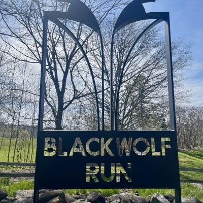 Black Wolf Run