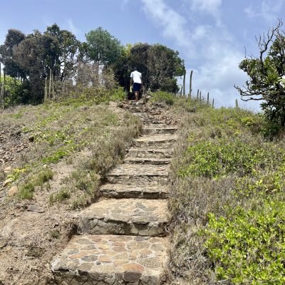 Cabot St. Lucia 18