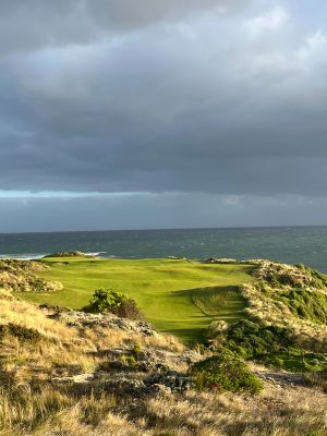 Cape Wickham