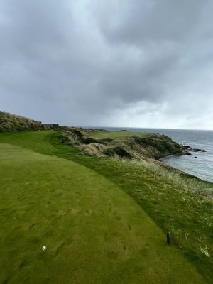 Cape Wickham