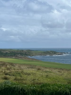 Cape Wickham