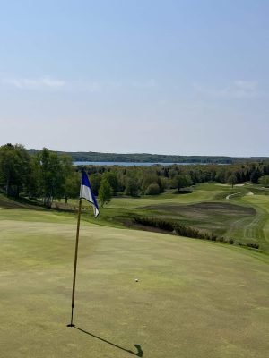 Crystal Downs