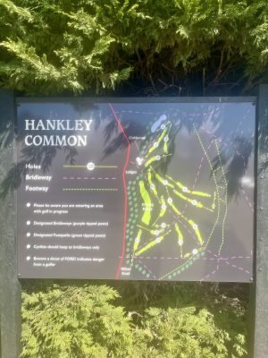 Hankley Common