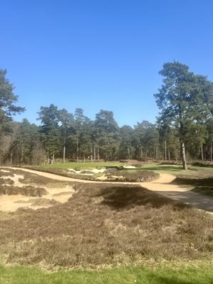Hankley Common