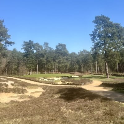Hankley Common