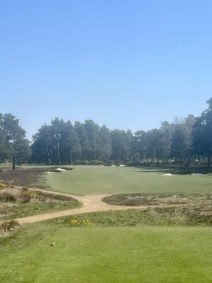 Hankley Common