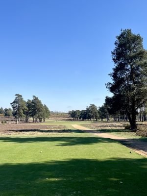 Hankley Common