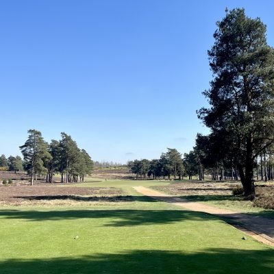 Hankley Common