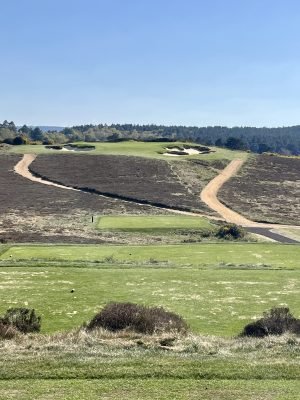 Hankley Common