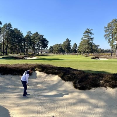 Hankley Common