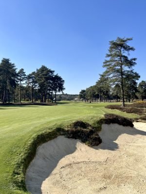 Hankley Common