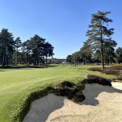Hankley Common