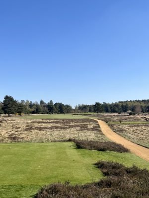 Hankley Common