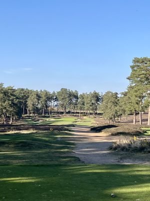 Hankley Common