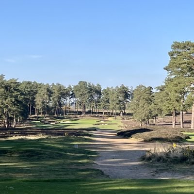 Hankley Common