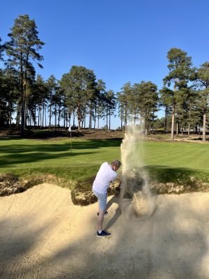 Hankley Common