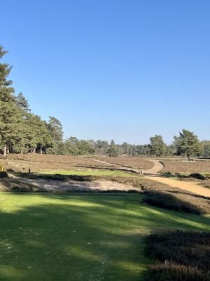 Hankley Common