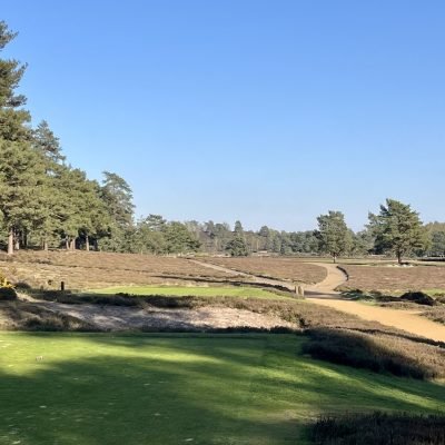 Hankley Common