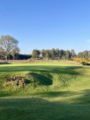 Hankley Common