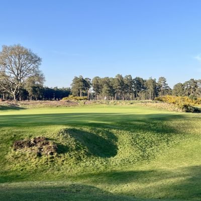 Hankley Common