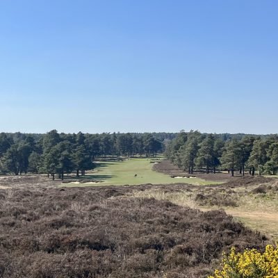 Hankley Common main pic