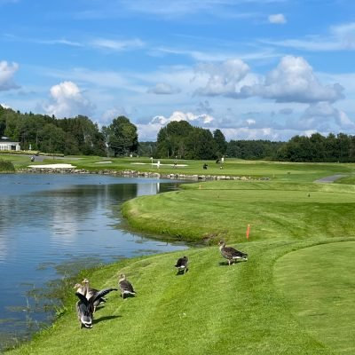 Bro Hof Slott