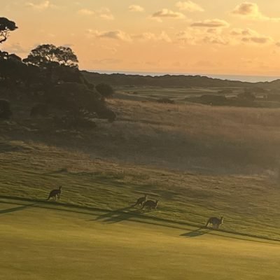 The National - Old course