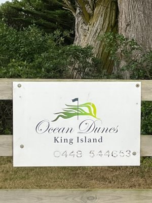 Ocean Dunes