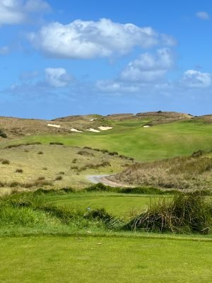 Ocean Dunes