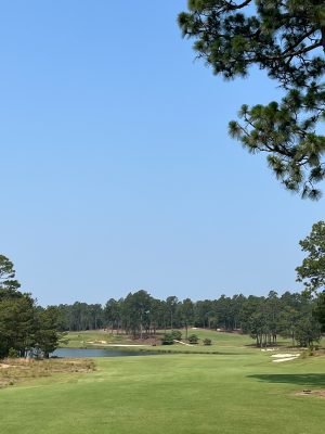 Pinehurst No. 4