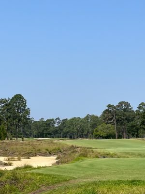 Pinehurst No. 4