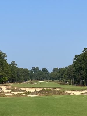 Pinehurst No. 4