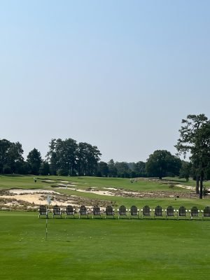 Pinehurst No. 4