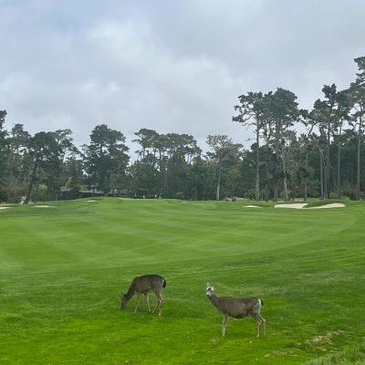 Spyglass Hill