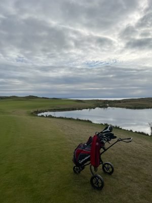 Dumbarnie