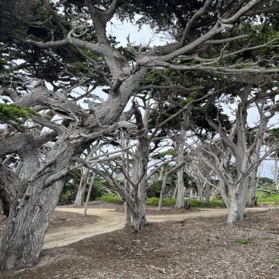 Cypress Point, USA