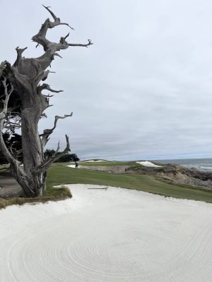 Cypress Point, USA