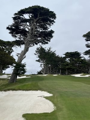 Cypress Point, USA