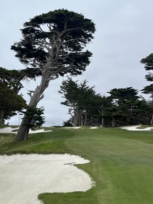 Cypress Point, USA