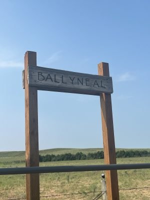 Ballyneal