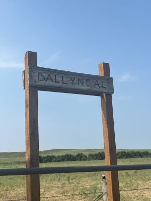 Ballyneal