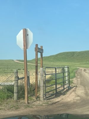 Ballyneal