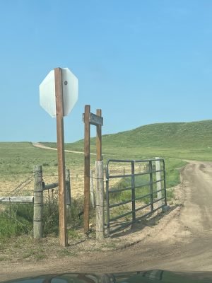 Ballyneal