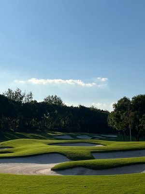 Sheshan International