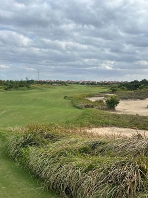 Yangtze Dunes