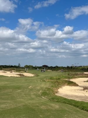 Yangtze Dunes