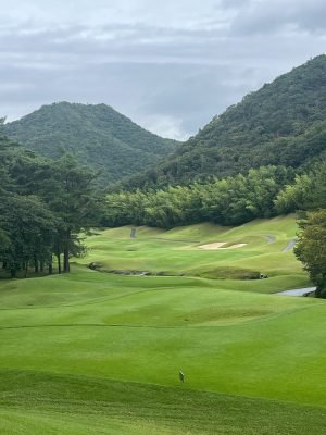 Golden Valley