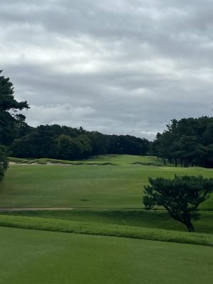 Hirono
