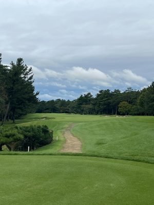 Hirono