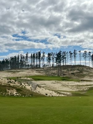 Te Arai North